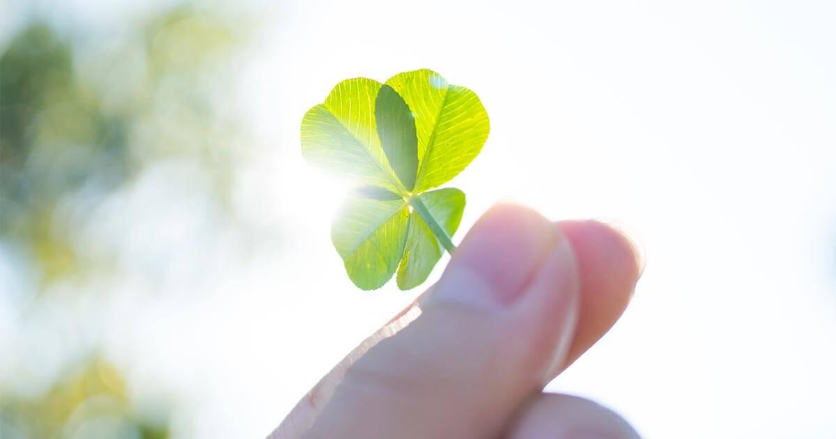 How to win at gambling: all a matter chance or mathematics?